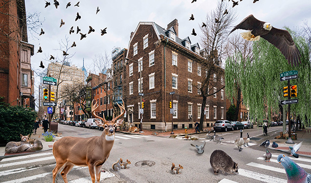 The corner of 18th and Spruce with several animals hanging around, including a deer, eagle, and several smaller mammals.